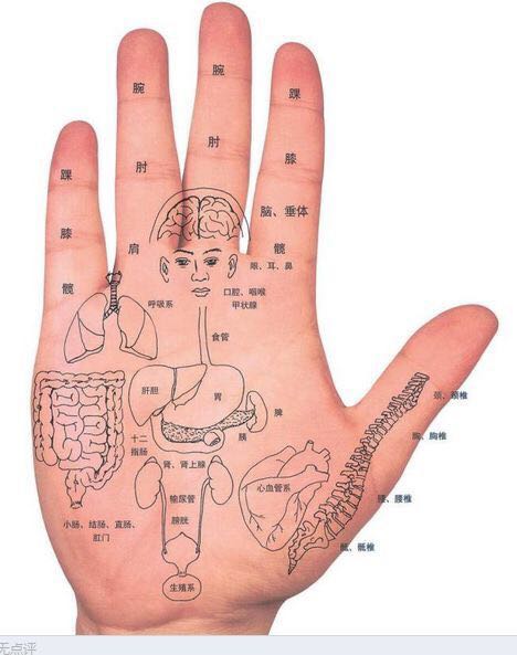 Plants: image 4 0f 4 thumb