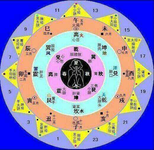 Plants: image 4 0f 4 thumb